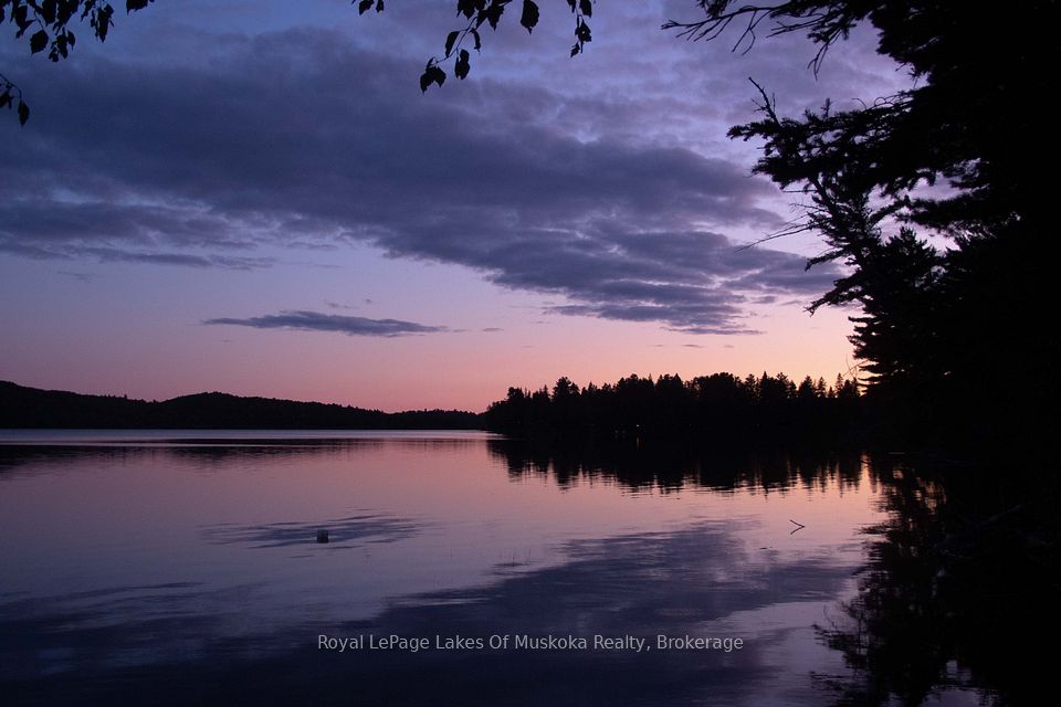 1173 Highway 60, South Algonquin, ON P1H 2G9 at 1173 Highway 60, South Algonquin, ON P1H 2G9, South Algonquin, ON, P1H 2G9