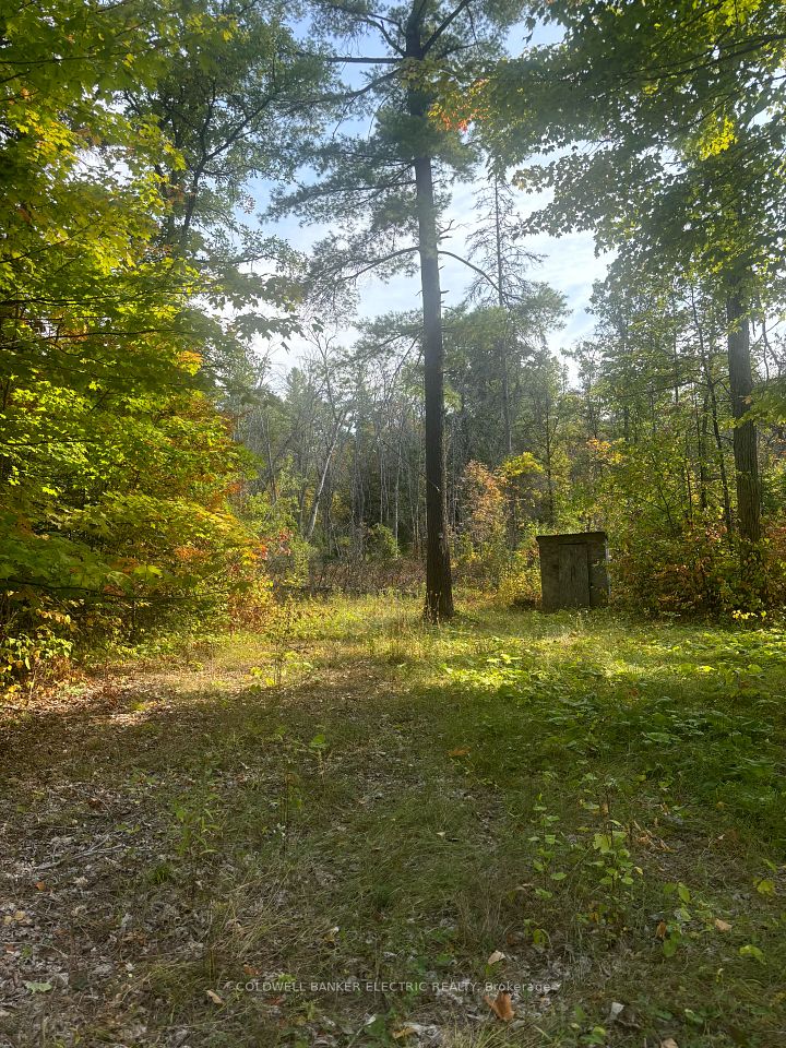 0 Pineview Court, Marmora and Lake, ON K0K 2M0 at 0 Pineview Court, Marmora and Lake, ON K0K 2M0, Marmora and Lake, ON, K0K 2M0