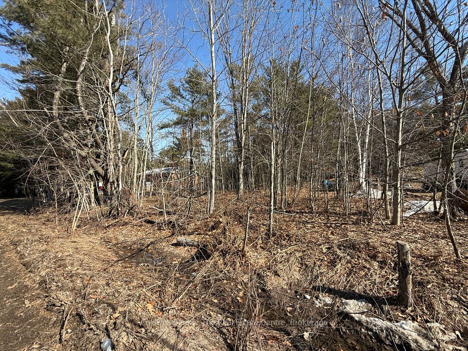 Vacant Lot Pinedale Road, Gravenhurst, ON P1P 1L5 at Vacant Lot Pinedale Road, Gravenhurst, ON P1P 1L5, Gravenhurst, ON, P1P 1L5