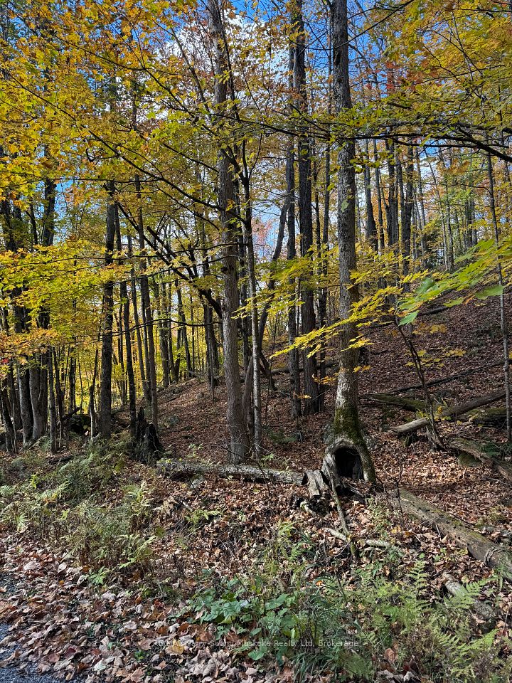 353C BALSAM CREEK Road, Parry Sound Remote Area, ON P0H 1S0 at 353C BALSAM CREEK Road, Parry Sound Remote Area, ON P0H 1S0, Parry Sound Remote Area, ON, P0H 1S0