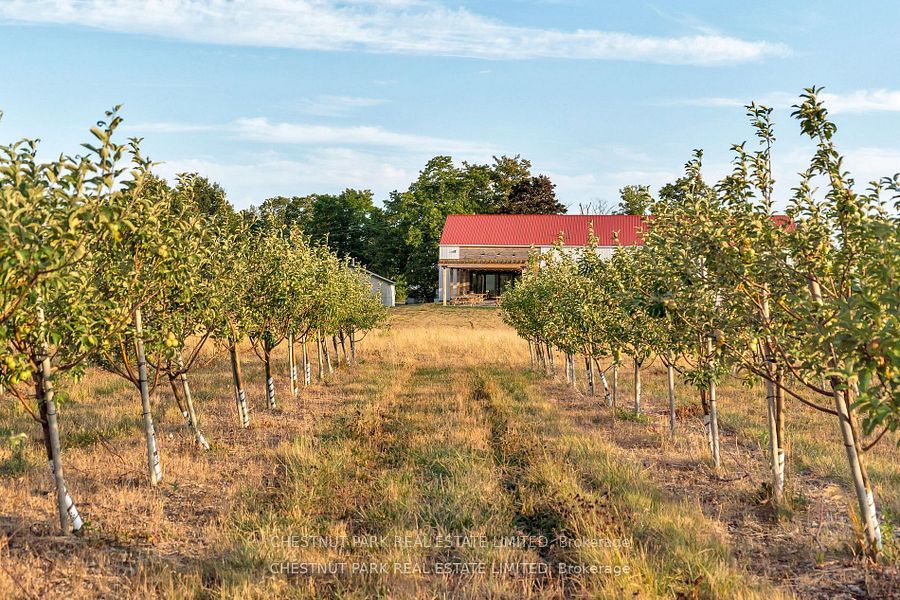 890 Danforth Road, Prince Edward County, ON K0K 2J0