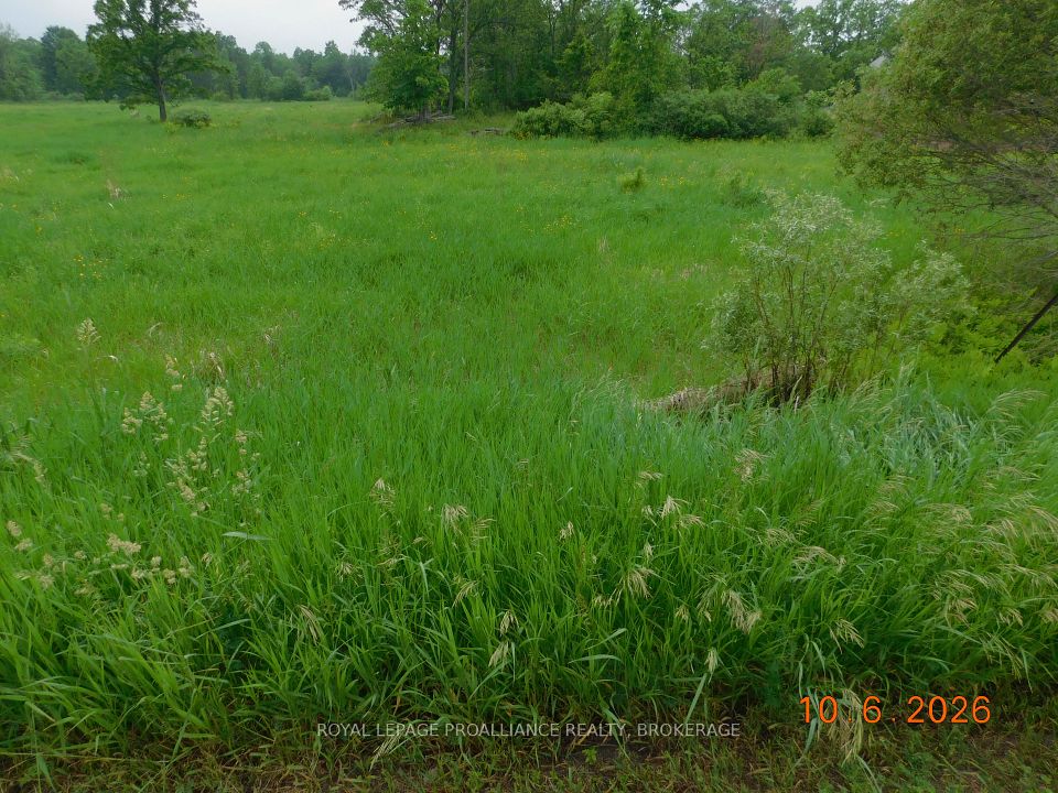 LOT 16 Snider Road, Frontenac, ON K0H 2W0 at LOT 16 Snider Road, Frontenac, ON K0H 2W0, Frontenac, ON, K0H 2W0