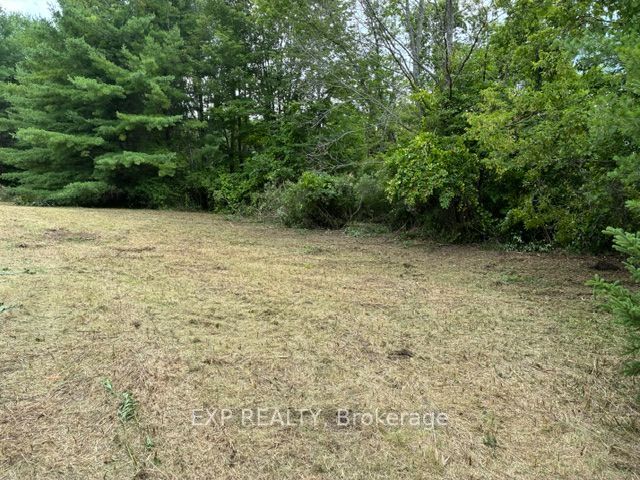 Lot 5 & 6 RP 18 Noonan Road, Alnwick/Haldimand, ON K0K 3K0 at Lot 5 & 6 RP 18 Noonan Road, Alnwick/Haldimand, ON K0K 3K0, Alnwick/Haldimand, ON, K0K 3K0