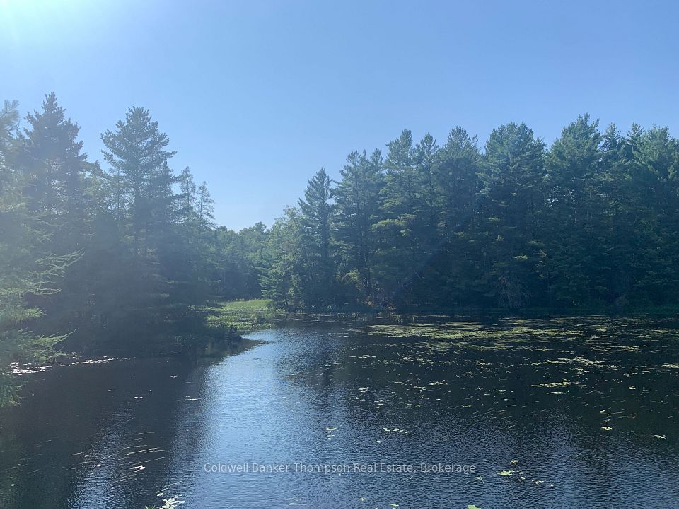 LT17&18 CON8 & LT18 CON 9 Carlsmount Road, Bracebridge, ON P1L 1X1 at LT17&18 CON8 & LT18 CON 9 Carlsmount Road, Bracebridge, ON P1L 1X1, Bracebridge, ON, P1L 1X1