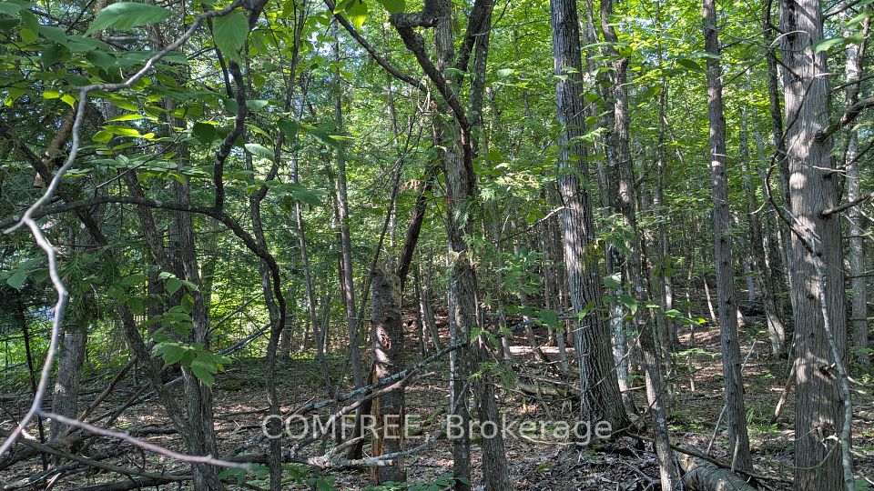 4853 Opeongo Road, Constance Bay - Dunrobin - Kilmaurs - Woodlawn, ON K0A 3M0 at 4853 Opeongo Road, Constance Bay - Dunrobin - Kilmaurs - Woodlawn, ON K0A 3M0, Constance Bay - Dunrobin - Kilmaurs - Woodlawn, ON, K0A 3M0