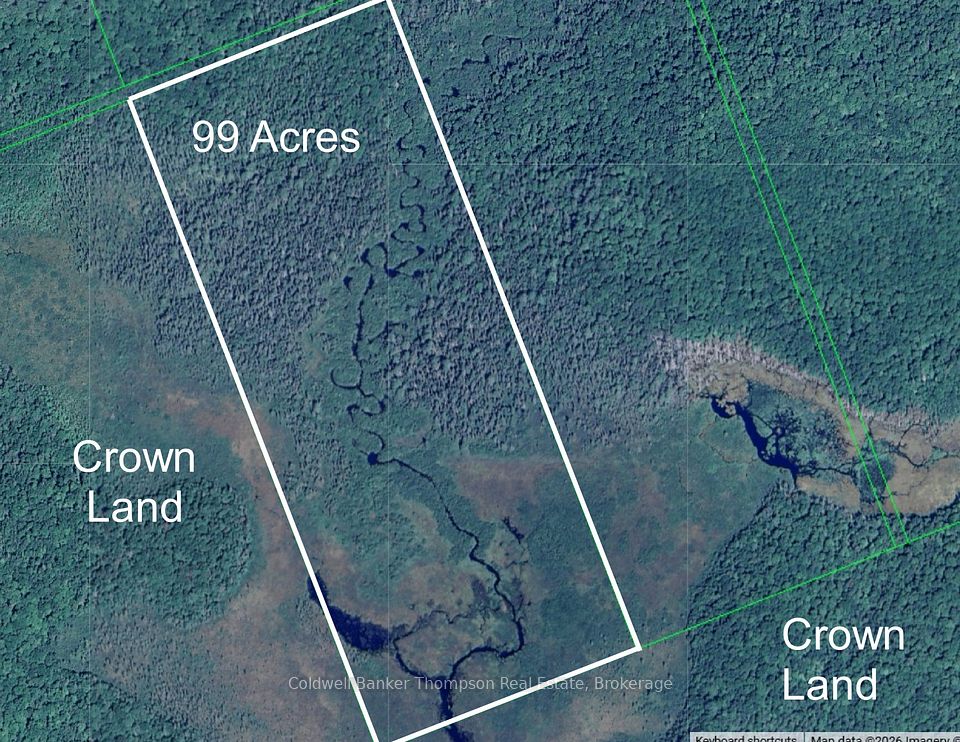 LOT 12 CON 2 n/a Trail, Lake of Bays, ON P1L 1X3 at LOT 12 CON 2 n/a Trail, Lake of Bays, ON P1L 1X3, Lake of Bays, ON, P1L 1X3