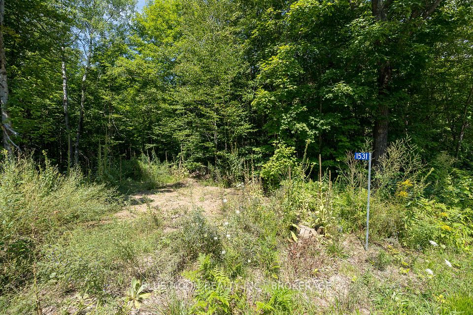 1531 Myers Cave Road, Frontenac, ON K0H 1B0 at 1531 Myers Cave Road, Frontenac, ON K0H 1B0, Frontenac, ON, K0H 1B0