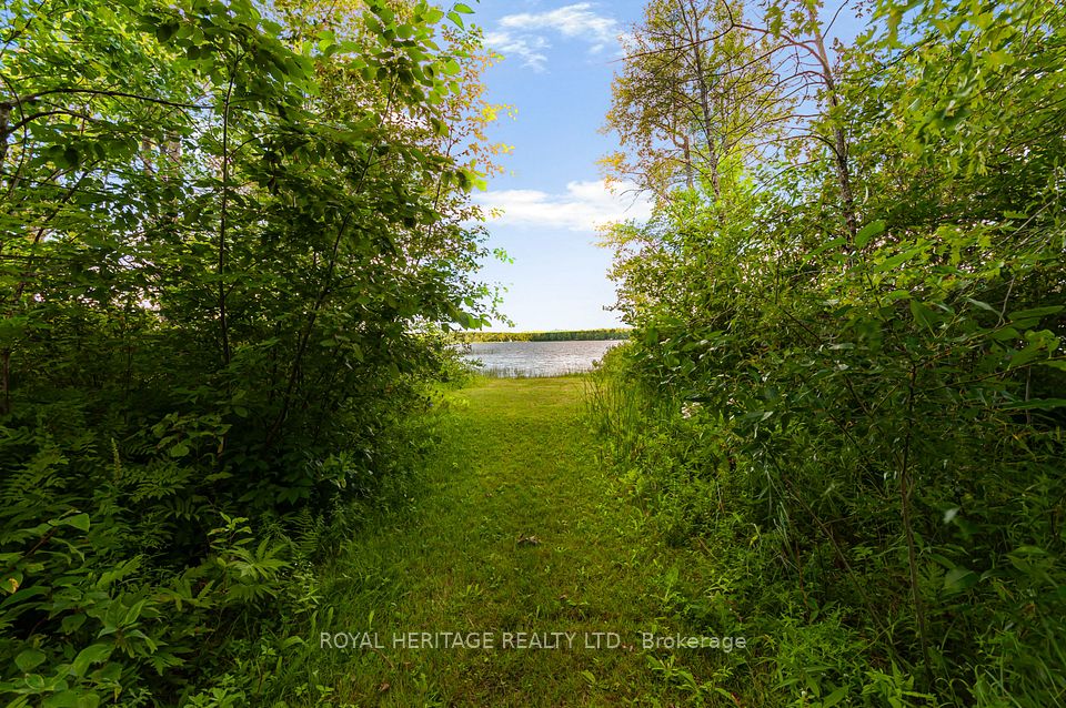213 Monck Rd Cty 45 Road, Kawartha Lakes, ON L0K 1W0 at 213 Monck Rd Cty 45 Road, Kawartha Lakes, ON L0K 1W0, Kawartha Lakes, ON, L0K 1W0