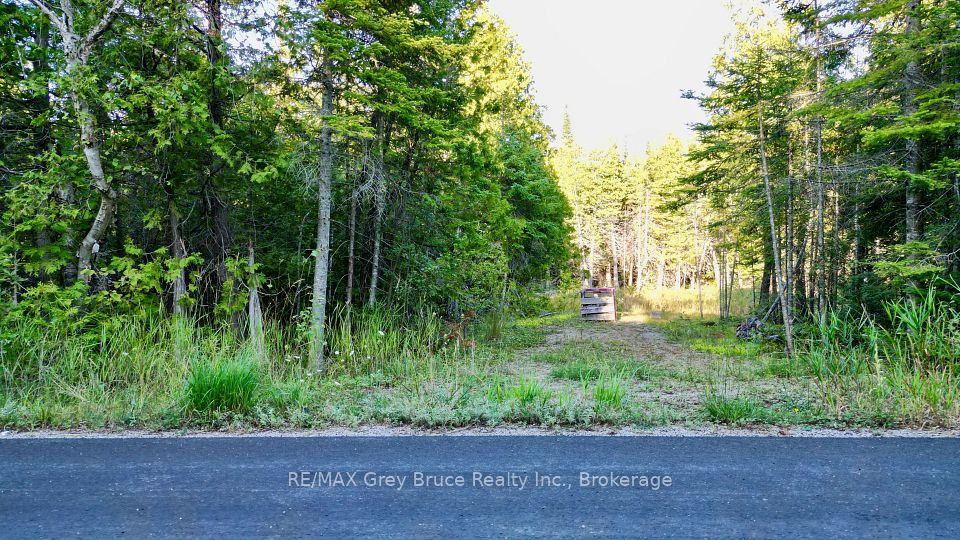 8 Devils Glen, Northern Bruce Peninsula, ON N0H 1X0 at 8 Devils Glen, Northern Bruce Peninsula, ON N0H 1X0, Northern Bruce Peninsula, ON, N0H 1X0