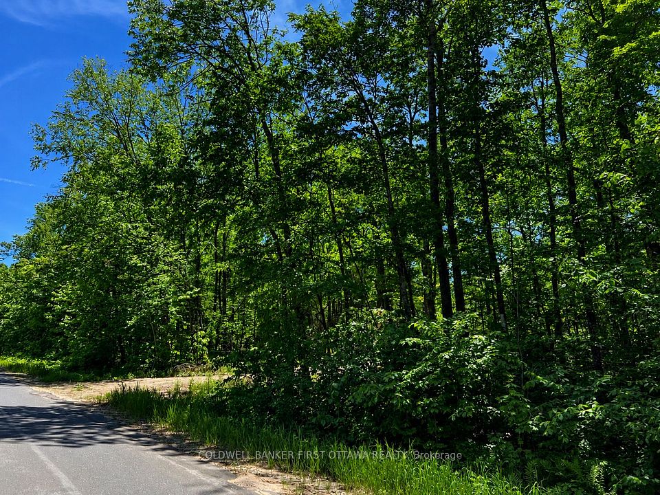 0 Buckshot Lake Road, Addington Highlands, ON K0H 1K0 at 0 Buckshot Lake Road, Addington Highlands, ON K0H 1K0, Addington Highlands, ON, K0H 1K0