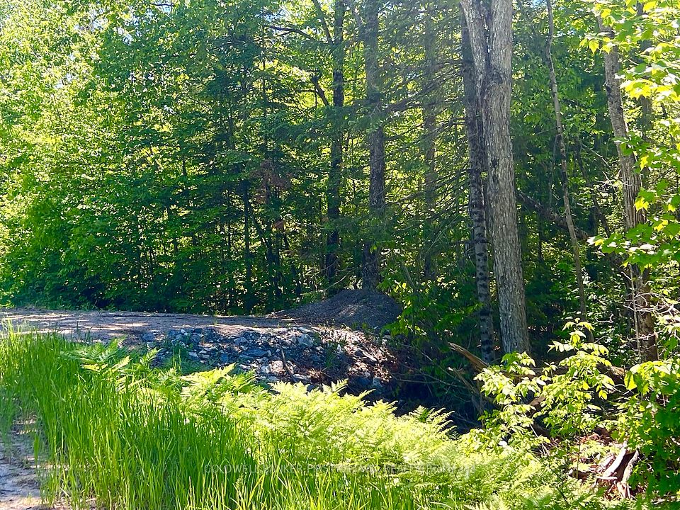 00 Buckshot Lake Road, Addington Highlands, ON K0H 1K0 at 00 Buckshot Lake Road, Addington Highlands, ON K0H 1K0, Addington Highlands, ON, K0H 1K0