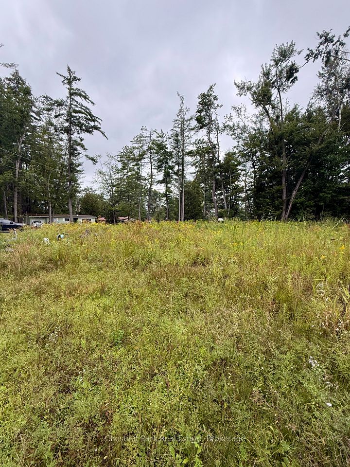 1004 Chippawa Avenue, Gravenhurst, ON P1P 1R1 at 1004 Chippawa Avenue, Gravenhurst, ON P1P 1R1, Gravenhurst, ON, P1P 1R1
