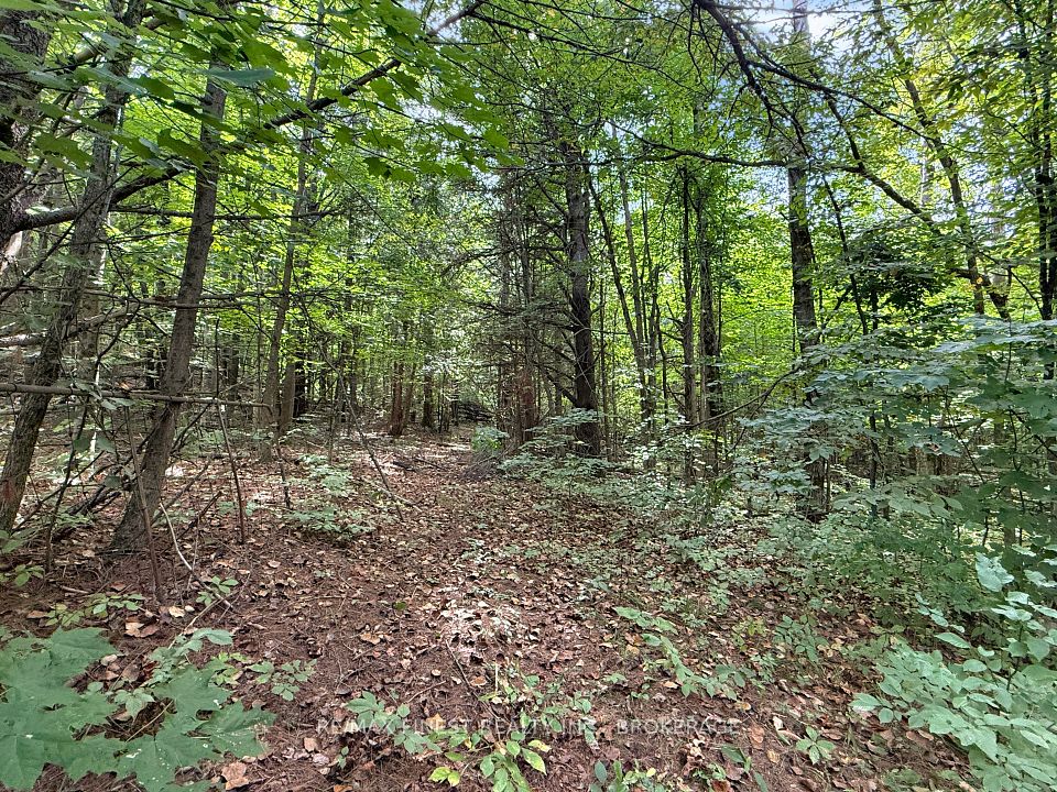 4900 County Rd 4, Stone Mills, ON K0K 1Z0 at 4900 County Rd 4, Stone Mills, ON K0K 1Z0, Stone Mills, ON, K0K 1Z0