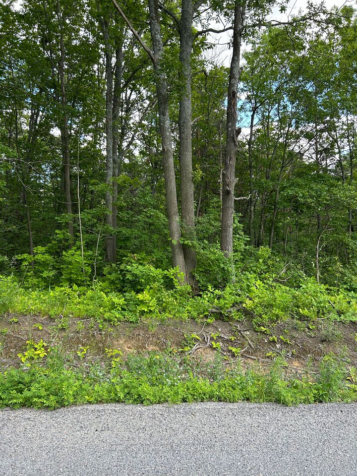 100, 104, and 106 Dingman Road, Cramahe, ON K0K 1M0 at 100, 104, and 106 Dingman Road, Cramahe, ON K0K 1M0, Cramahe, ON, K0K 1M0