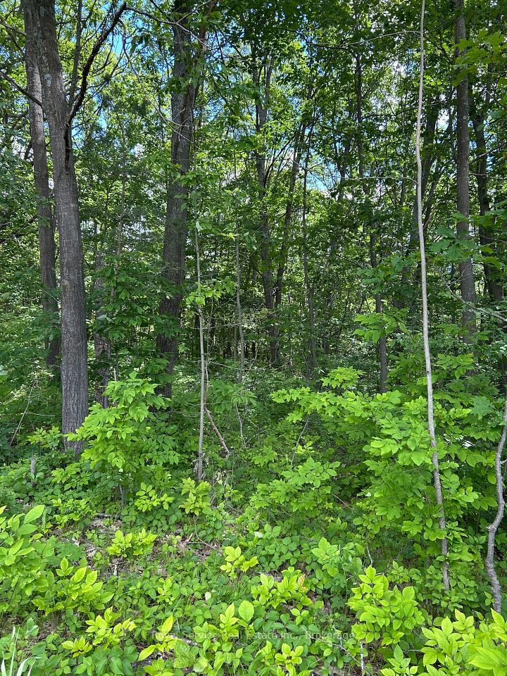 101, 102 and 103 Dingman Road, Cramahe, ON K0K 1M0 at 101, 102 and 103 Dingman Road, Cramahe, ON K0K 1M0, Cramahe, ON, K0K 1M0
