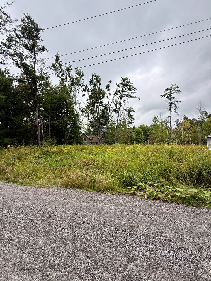 1006 Chippawa Avenue, Gravenhurst, ON P1P 1R1 at 1006 Chippawa Avenue, Gravenhurst, ON P1P 1R1, Gravenhurst, ON, P1P 1R1