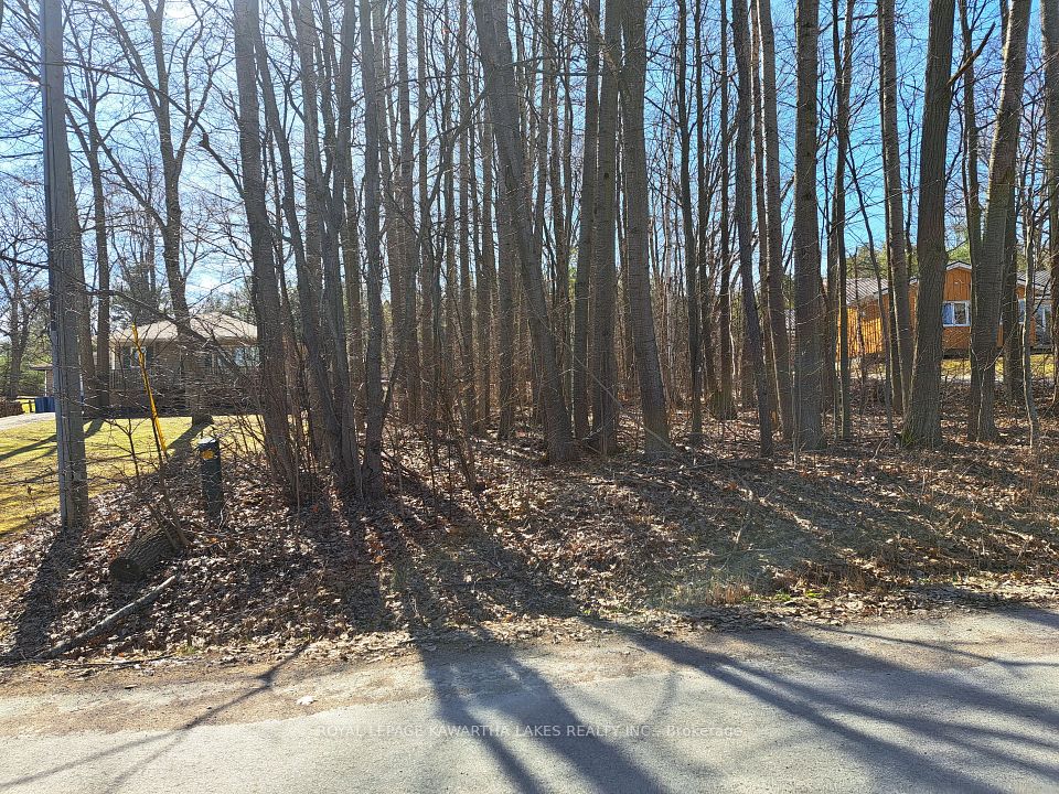 Vacant Land at 0 Poplar Drive, Hamilton Township, ON K0L 1E0