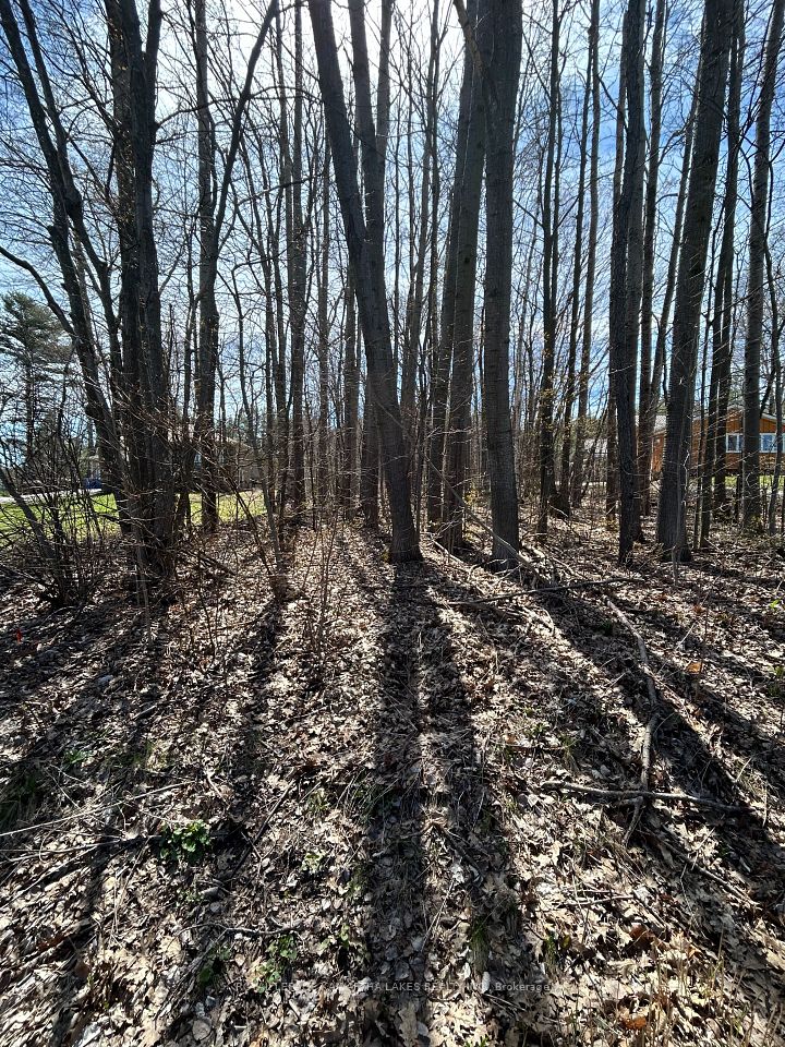 0 Poplar Drive, Hamilton Township, ON K0L 1E0 2