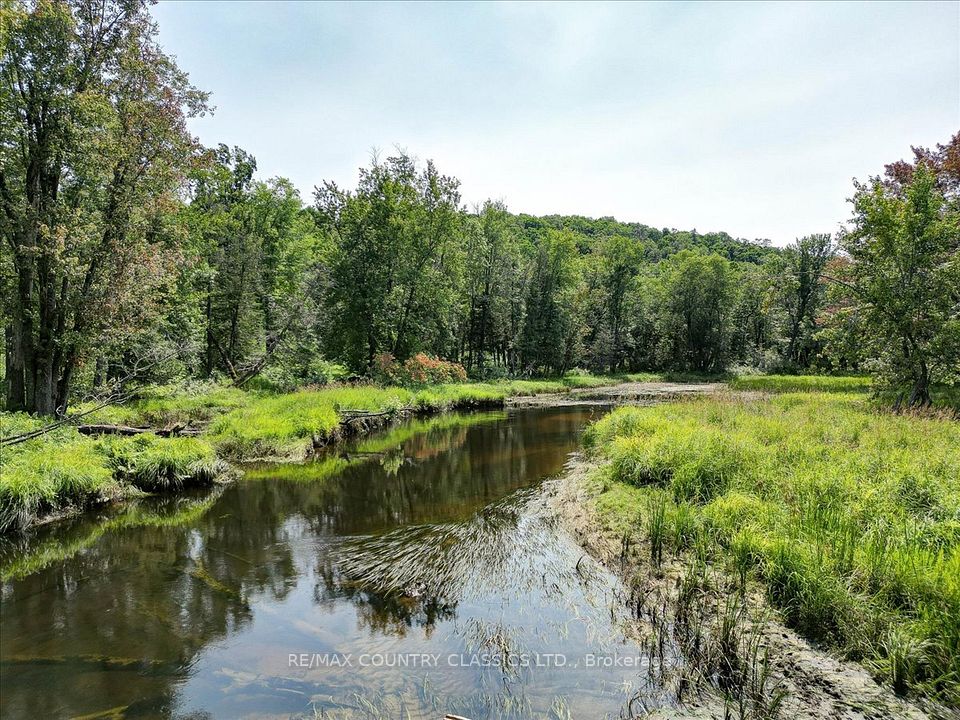 0 North Rusaw Road, North Kawartha, ON K0L 1A0 at 0 North Rusaw Road, North Kawartha, ON K0L 1A0, North Kawartha, ON, K0L 1A0